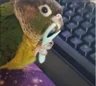Spurts of Distilled Autismo Energy = Cool Stuff