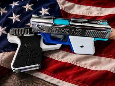 Raven MP25