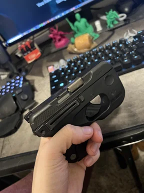 Taurus curve rear sight
