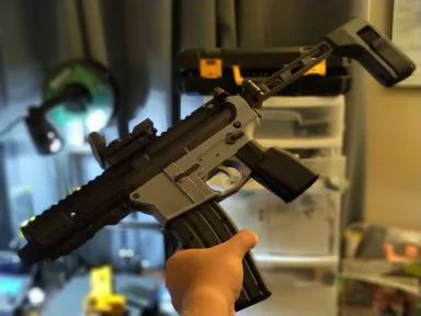 DS1913 v2.0 - 22lr AR15 Lower