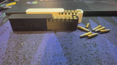 22lr case 20 rounds
