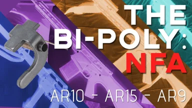 NFA BiPoly