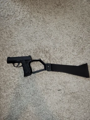P365 armbrace